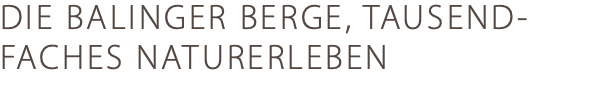 DIE BALINGER BERGE, TAUSEND-FACHES NATURERLEBEN
